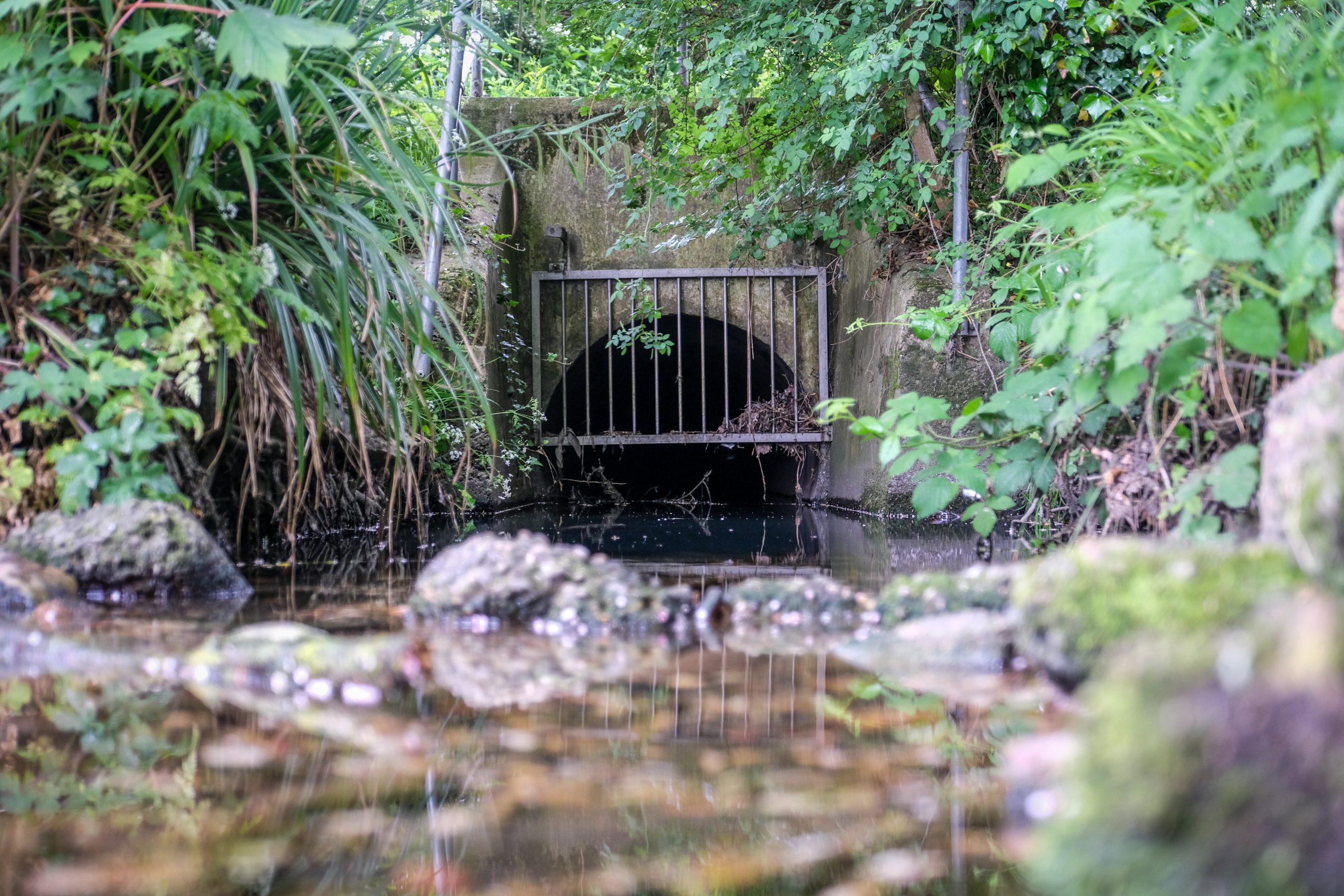 Rounded Culvert and Trash Screen, Pix Brook