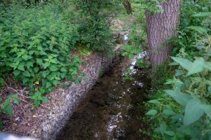 Pix Brook flowing through Norton Common